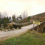 Revista Tr�fico. Kil�metro a kil�metro. Oviedo - Ria�o - Palencia