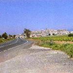 Revista Tr�fico. Carreteras auton�micas. La Rioja: entre vi�edos y valles