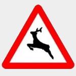 Tramos con Especial Frecuencia de Incidentes Viales con implicaci�n de Animales (TEFIVA)